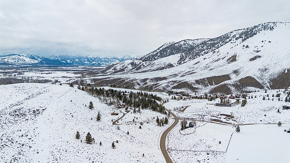 1710Porcupine_JGPhoto-60
