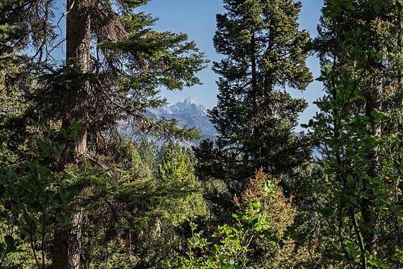 6785LupineTrail_JGPhoto-23