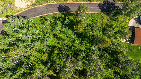 Lot9Woodchuck_JGPhoto-23