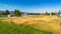 96WBirch_JGPhoto-2
