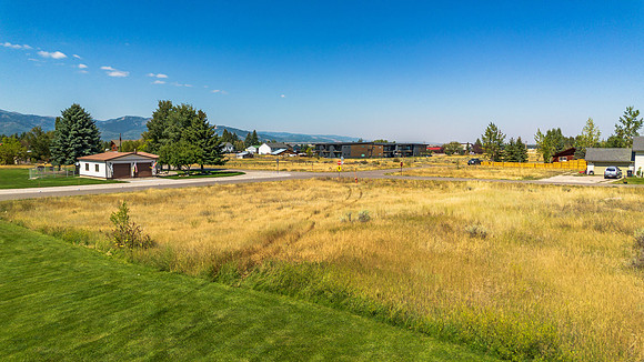 96WBirch_JGPhoto-2