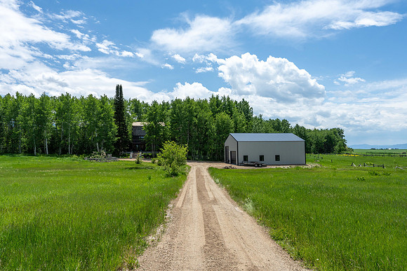 50 W Rigby_JGPhoto-1