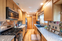 3120KingEider_JGPhoto-1