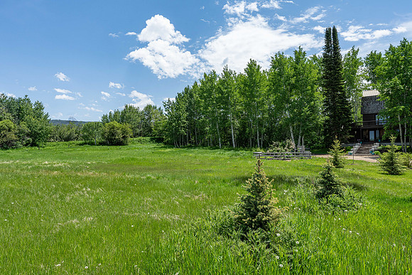 50 W Rigby_JGPhoto-2