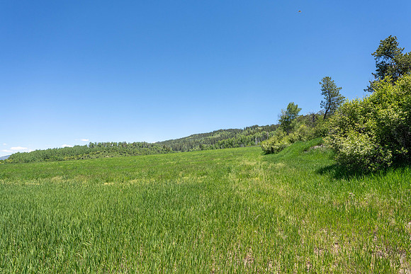 LeverSpring_JGPhoto-22