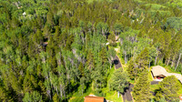 Lot9Woodchuck_JGPhoto-10