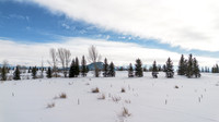 7029JensenCanyon_JGPhoto-12