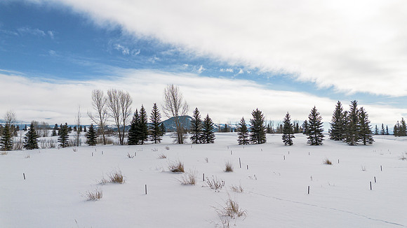 7029JensenCanyon_JGPhoto-12