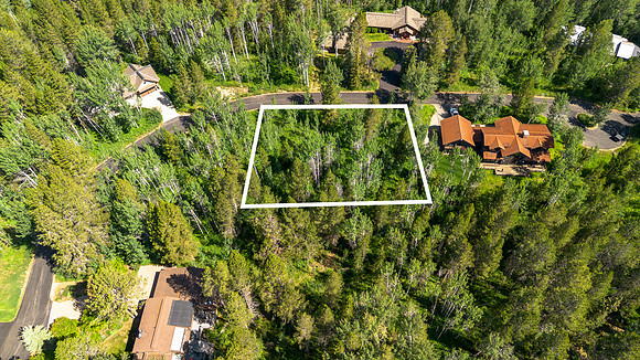 Lot9Woodchuck_JGPhoto-22 copy