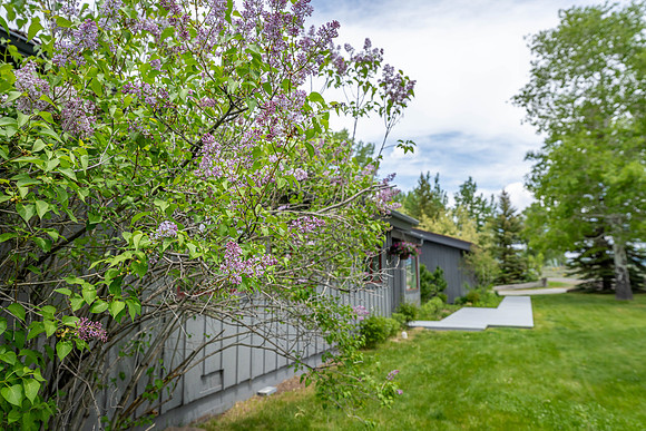 6225SpringGulch_JGPhoto-34