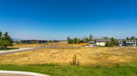 96WBirch_JGPhoto-1