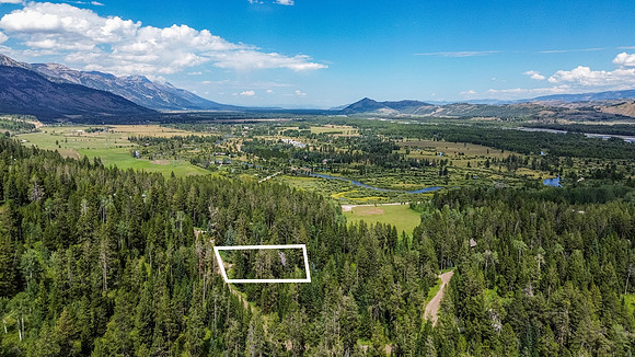 BlueDunDrone_JGPhoto-15 copy